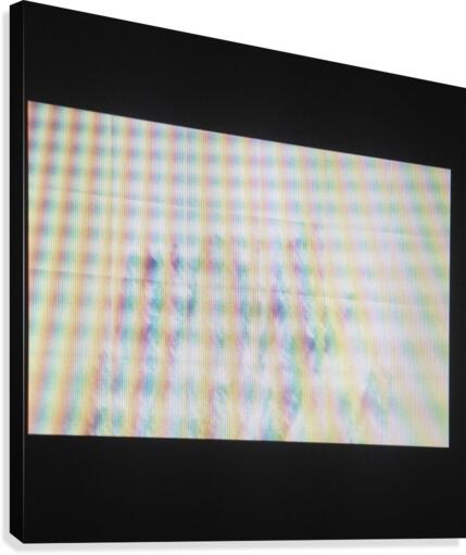 Etcetera Canvas Print