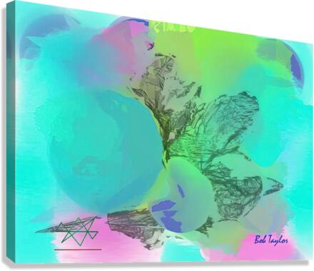 002AromarMS Canvas Print