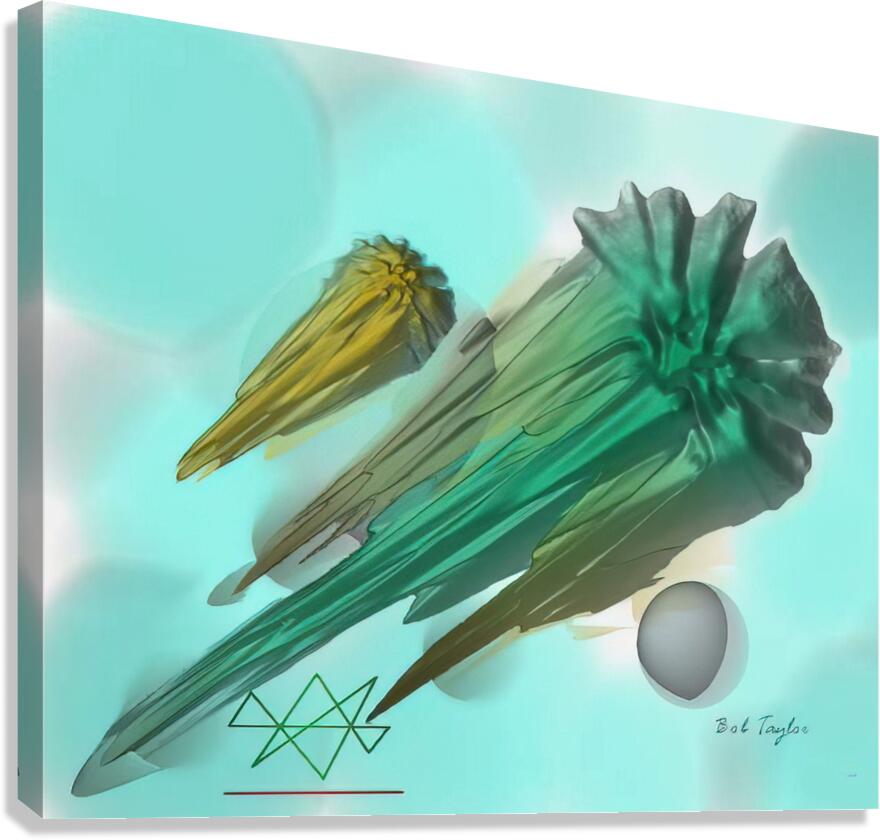 044AsteroidsMS Canvas Print