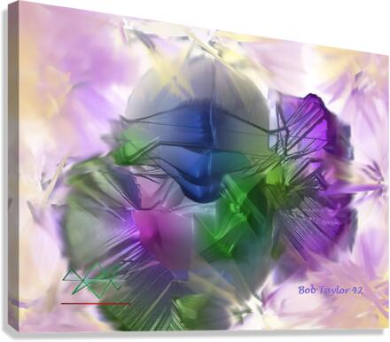 098WarriorMS Canvas Print