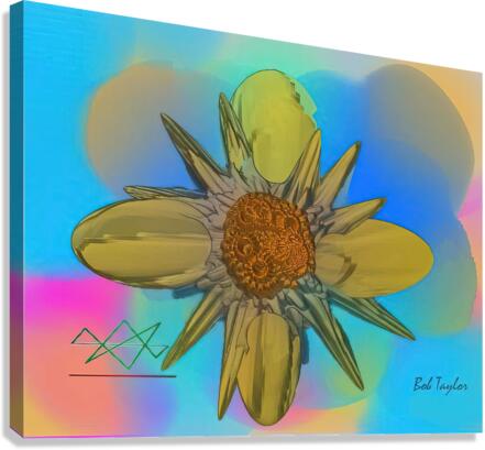 086CompassMS Canvas Print