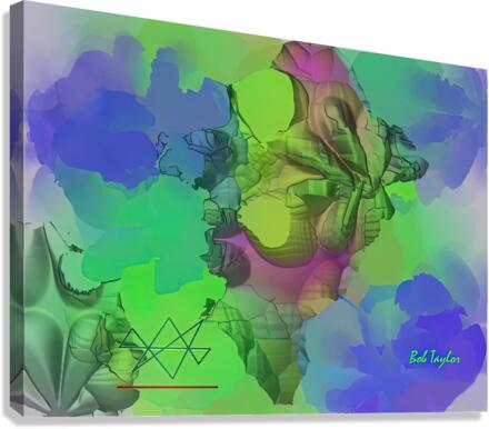 110Pladikam3MS Canvas Print