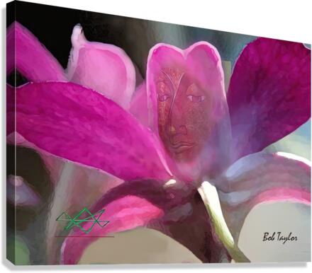143LotusMS Canvas Print