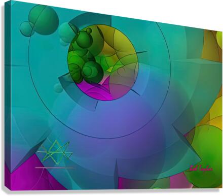 161AsterbladeMS Canvas Print