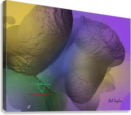 197CrunchMS Canvas Print