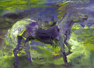 Ghost Rider-  Sage