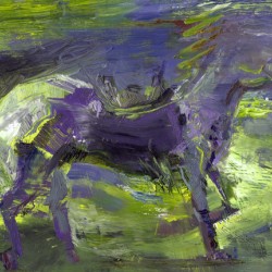 Ghost Rider-  Sage