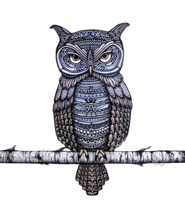 Geo-Owl