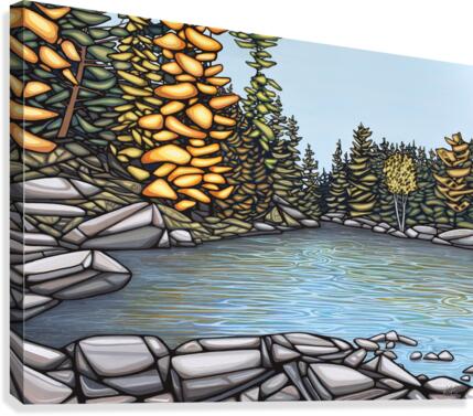 High Falls Algonquin Park  Canvas Print
