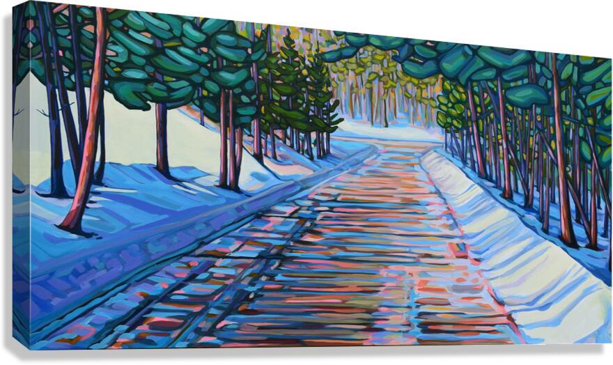 Dappled Road  Canvas Print