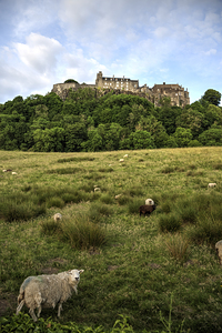 Stirling Castle