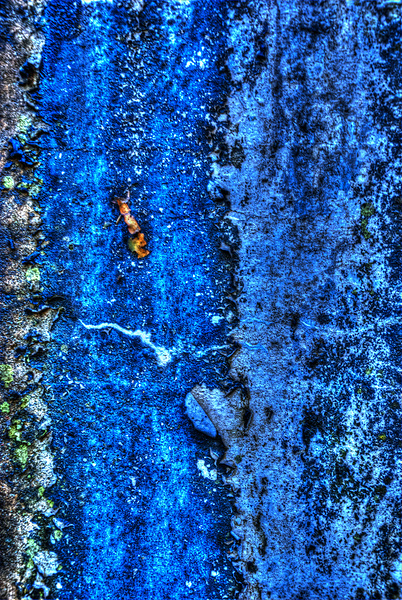 Abstract 008 Print