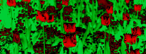 Abstract 012 Print