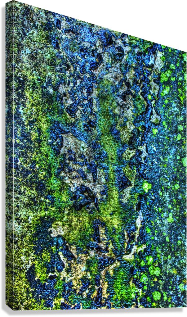 Abstract 009 Canvas Print