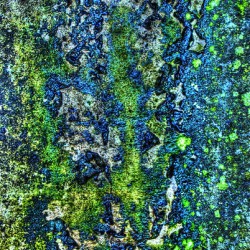 Abstract 009