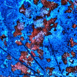 Abstract 010