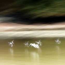 Abstract 002