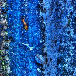 Abstract 008