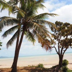 CAPE YORK TIP