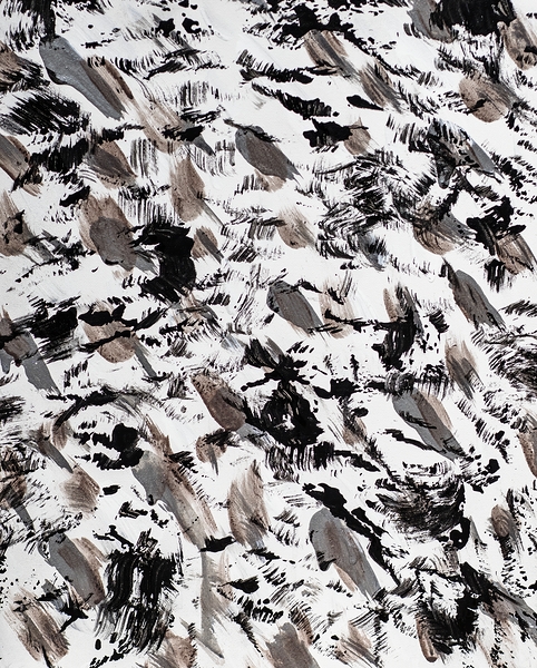 PAW CLAWZ  Print