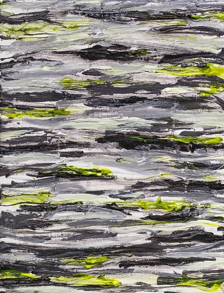 FRiNGE 25 Print