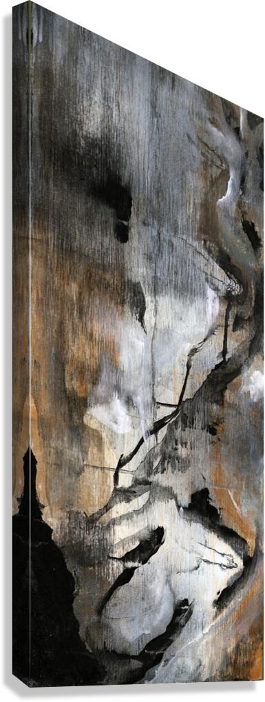 AVALANCHE Canvas Print