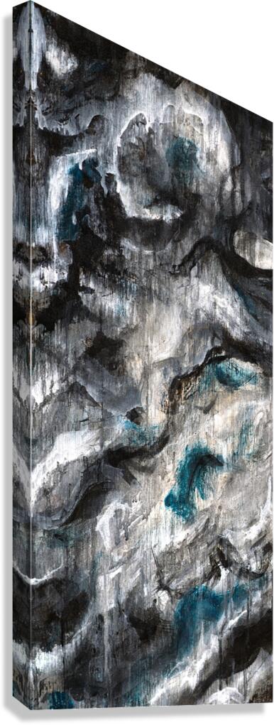 EVEREST Canvas Print