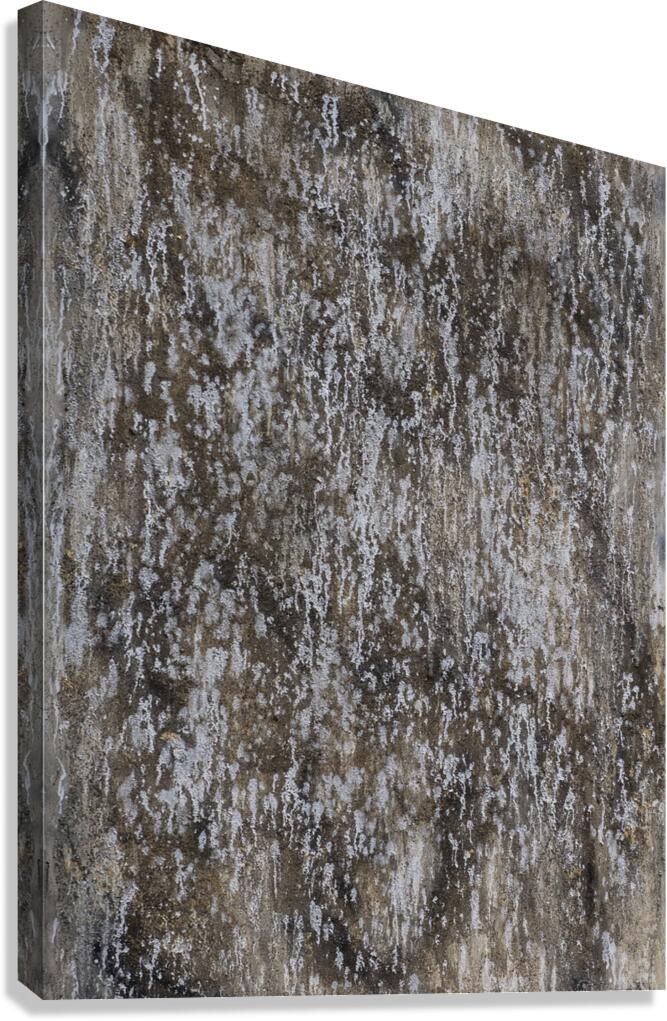 GOLD RUSH  Canvas Print