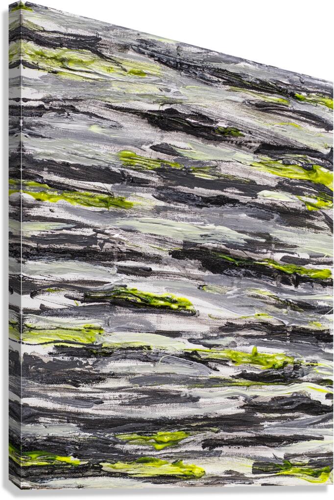 FRiNGE 25 Canvas Print
