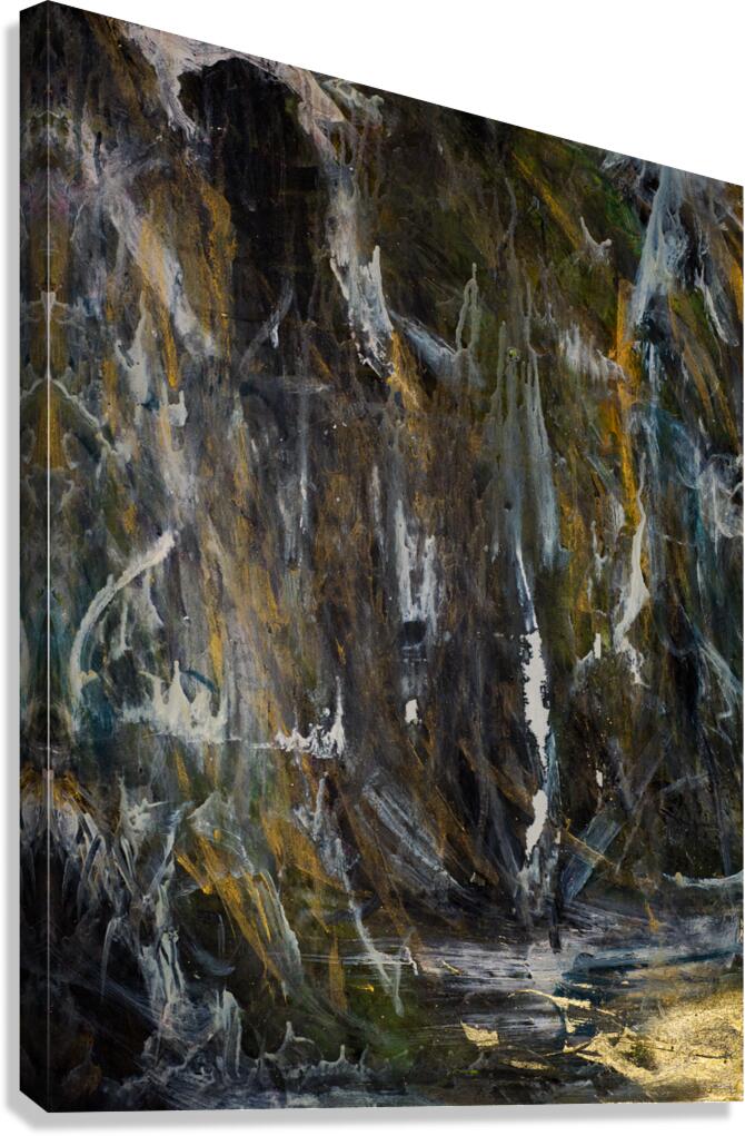 iNiAGRA Canvas Print