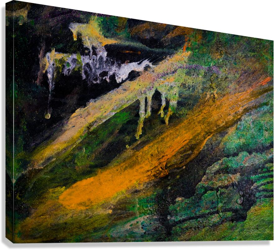 METEOR MARSH Canvas Print