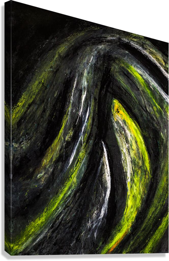 TYKU Canvas Print