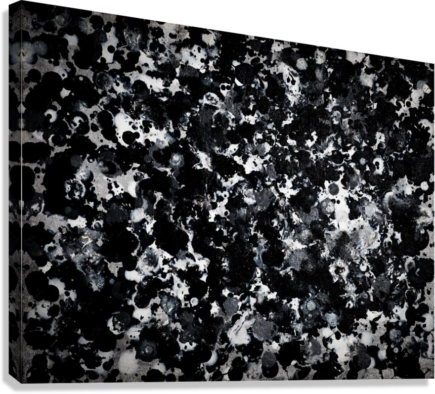 iNKSCAPE.01 Canvas Print