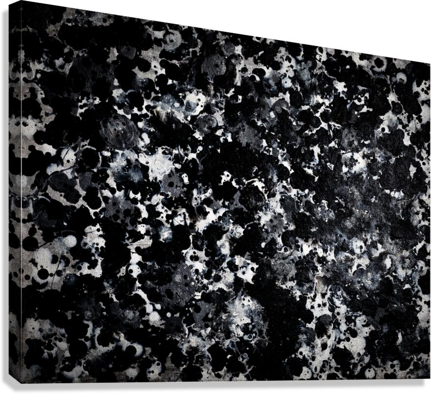 iNKSCAPE.02 Canvas Print