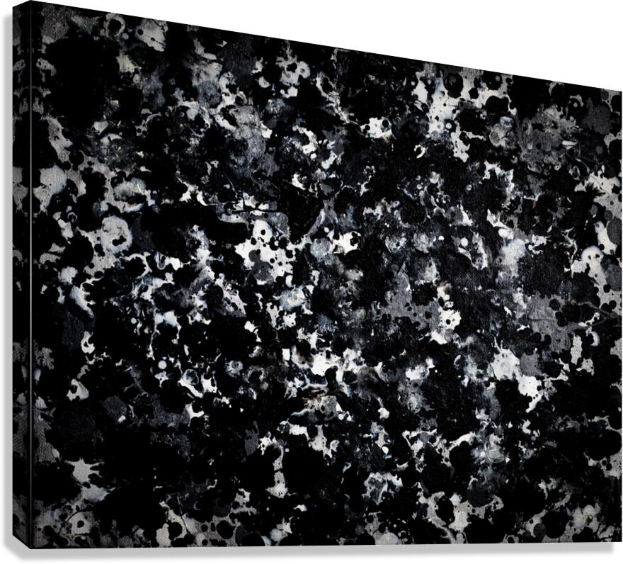 iNKSCAPE.03 Canvas Print