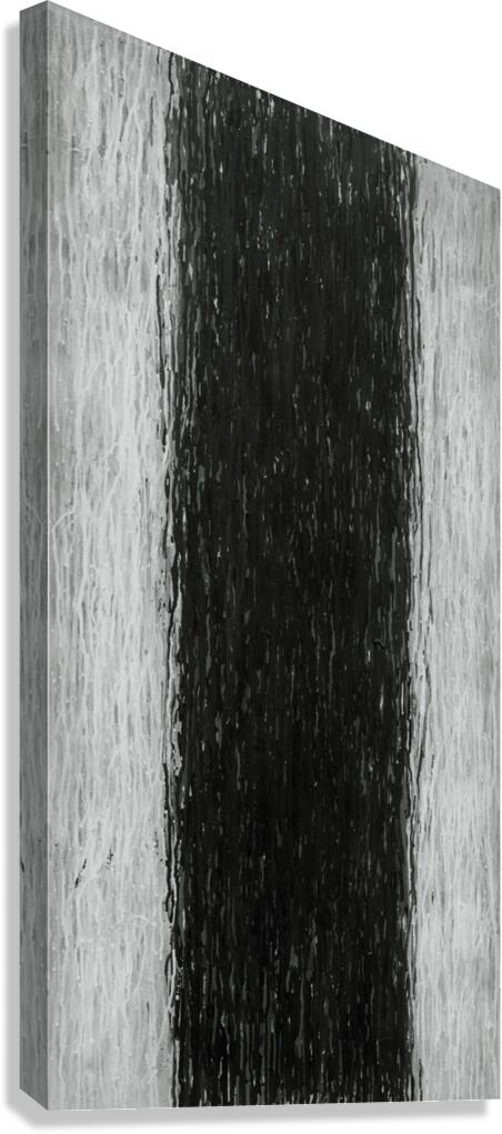 DARKNESS FALLZ Canvas Print