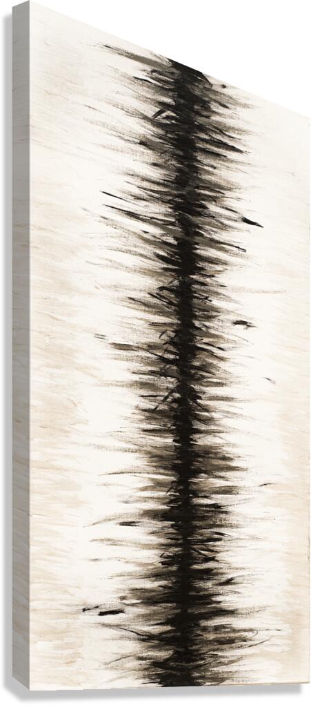 FREQUENCY.01 Canvas Print