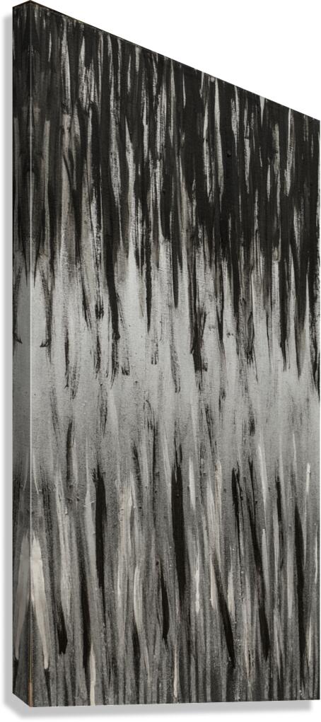 FREQUENCY.03 Canvas Print