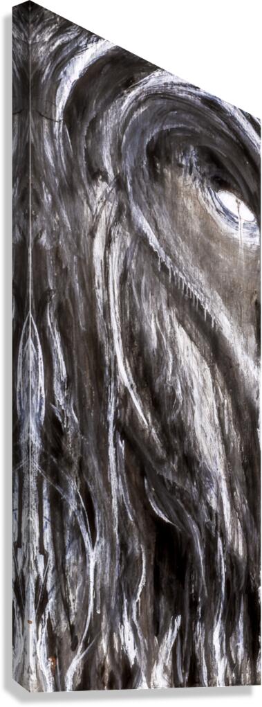 SiNTER  Canvas Print