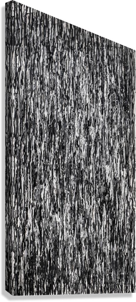STATiC RAYNE  Canvas Print