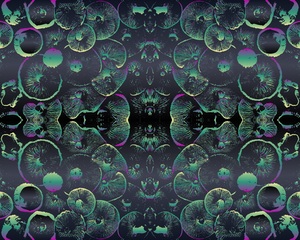 background pattern mushrooms