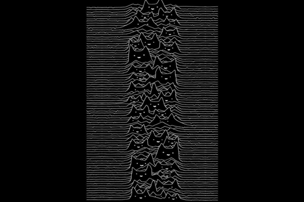 Furr Division Print