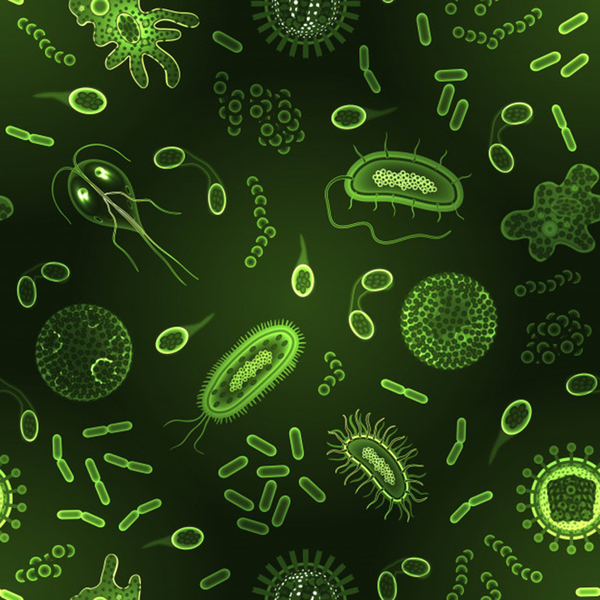 bacteria virus seamless pattern inversion Print