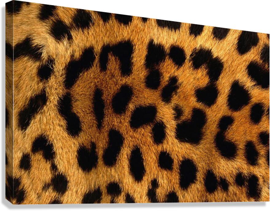 Leopard Skin Pattern Background Canvas Print