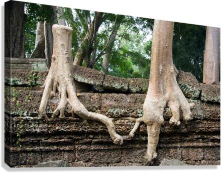 Trees United Canvas Print