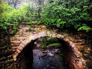 48682092781_ec780e9ea2_o