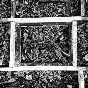 48682266362_52c6ba0bd6_o