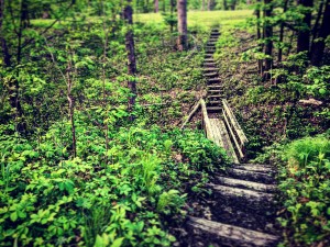 48682267617_bb567ca942_o