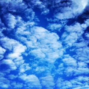 48789057208_143339dbb6_o