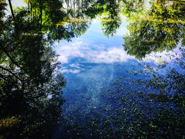 48681753948_12afc046a0_o by Ian Van Schepen